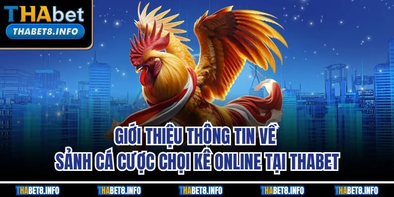 Giới thiệu thông tin về sảnh cá cược chọi kê online tại THABET Giới thiệu thông tin về sảnh cá cược chọi kê online tại THABET